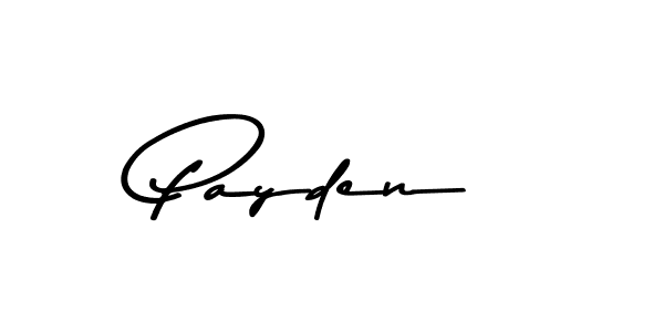 The best way (Asem Kandis PERSONAL USE) to make a short signature is to pick only two or three words in your name. The name Payden include a total of six letters. For converting this name. Payden signature style 9 images and pictures png