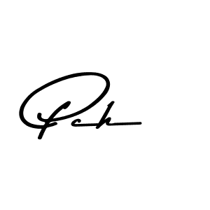 Make a short Pch signature style. Manage your documents anywhere anytime using Asem Kandis PERSONAL USE. Create and add eSignatures, submit forms, share and send files easily. Pch signature style 9 images and pictures png