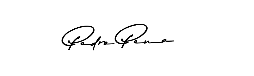 You should practise on your own different ways (Asem Kandis PERSONAL USE) to write your name (Pedro Pena) in signature. don't let someone else do it for you. Pedro Pena signature style 9 images and pictures png