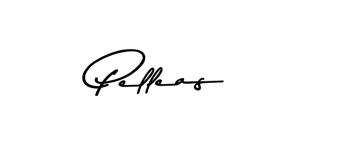 Make a beautiful signature design for name Pelleas. With this signature (Asem Kandis PERSONAL USE) style, you can create a handwritten signature for free. Pelleas signature style 9 images and pictures png