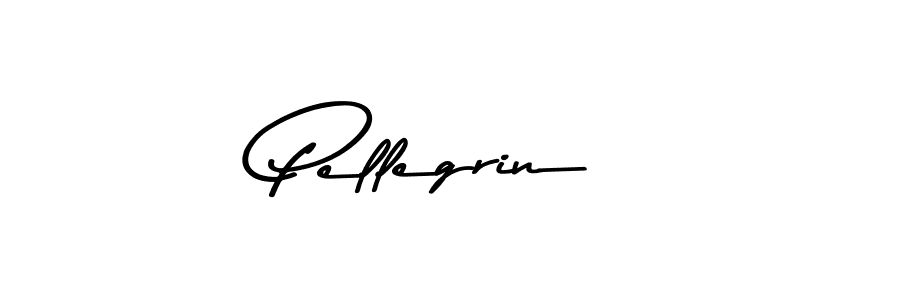 How to Draw Pellegrin signature style? Asem Kandis PERSONAL USE is a latest design signature styles for name Pellegrin. Pellegrin signature style 9 images and pictures png