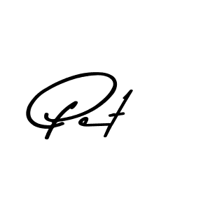 The best way (Asem Kandis PERSONAL USE) to make a short signature is to pick only two or three words in your name. The name Pet include a total of six letters. For converting this name. Pet signature style 9 images and pictures png