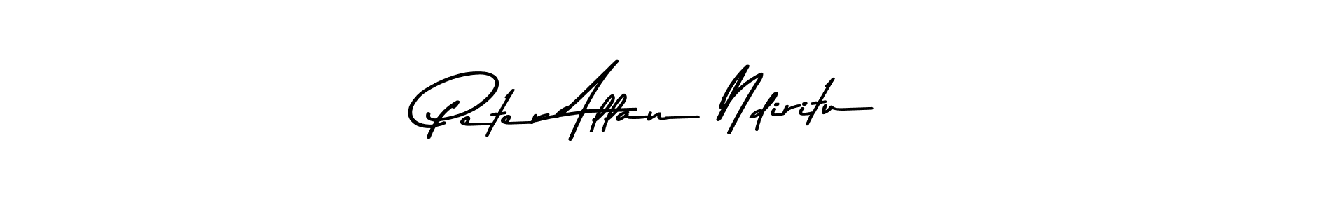 Best and Professional Signature Style for Peter Allan Ndiritu. Asem Kandis PERSONAL USE Best Signature Style Collection. Peter Allan Ndiritu signature style 9 images and pictures png