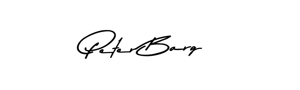 Peter Barg stylish signature style. Best Handwritten Sign (Asem Kandis PERSONAL USE) for my name. Handwritten Signature Collection Ideas for my name Peter Barg. Peter Barg signature style 9 images and pictures png