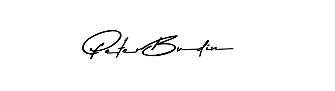 Best and Professional Signature Style for Peter Budin. Asem Kandis PERSONAL USE Best Signature Style Collection. Peter Budin signature style 9 images and pictures png