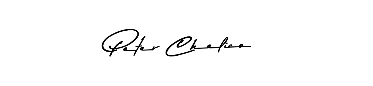 Here are the top 10 professional signature styles for the name Peter Chelico. These are the best autograph styles you can use for your name. Peter Chelico signature style 9 images and pictures png