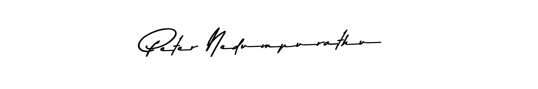 Also we have Peter Nedumpurathu name is the best signature style. Create professional handwritten signature collection using Asem Kandis PERSONAL USE autograph style. Peter Nedumpurathu signature style 9 images and pictures png
