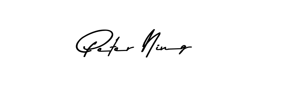 You can use this online signature creator to create a handwritten signature for the name Peter Ning. This is the best online autograph maker. Peter Ning signature style 9 images and pictures png