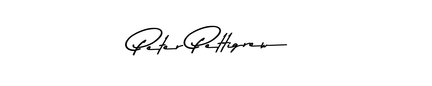 Peter Pettigrew stylish signature style. Best Handwritten Sign (Asem Kandis PERSONAL USE) for my name. Handwritten Signature Collection Ideas for my name Peter Pettigrew. Peter Pettigrew signature style 9 images and pictures png