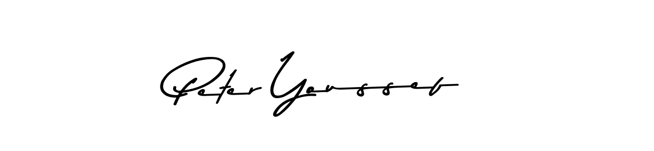 You should practise on your own different ways (Asem Kandis PERSONAL USE) to write your name (Peter Youssef) in signature. don't let someone else do it for you. Peter Youssef signature style 9 images and pictures png