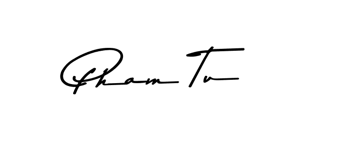 Make a beautiful signature design for name Pham Tu. Use this online signature maker to create a handwritten signature for free. Pham Tu signature style 9 images and pictures png