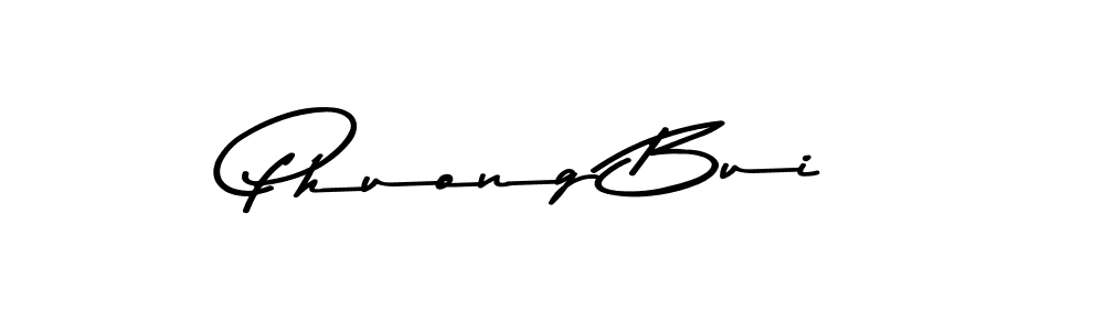 You should practise on your own different ways (Asem Kandis PERSONAL USE) to write your name (Phuong Bui) in signature. don't let someone else do it for you. Phuong Bui signature style 9 images and pictures png