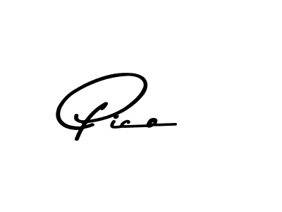 You can use this online signature creator to create a handwritten signature for the name Pico. This is the best online autograph maker. Pico signature style 9 images and pictures png