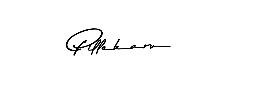 Design your own signature with our free online signature maker. With this signature software, you can create a handwritten (Asem Kandis PERSONAL USE) signature for name Pillekaru. Pillekaru signature style 9 images and pictures png