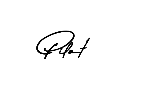 You should practise on your own different ways (Asem Kandis PERSONAL USE) to write your name (Pilot) in signature. don't let someone else do it for you. Pilot signature style 9 images and pictures png