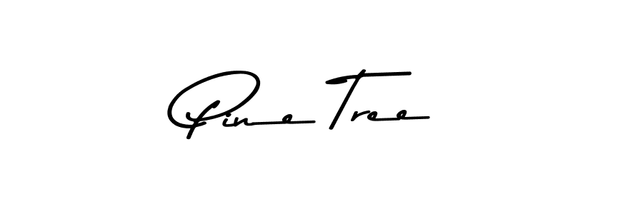 You should practise on your own different ways (Asem Kandis PERSONAL USE) to write your name (Pine Tree) in signature. don't let someone else do it for you. Pine Tree signature style 9 images and pictures png