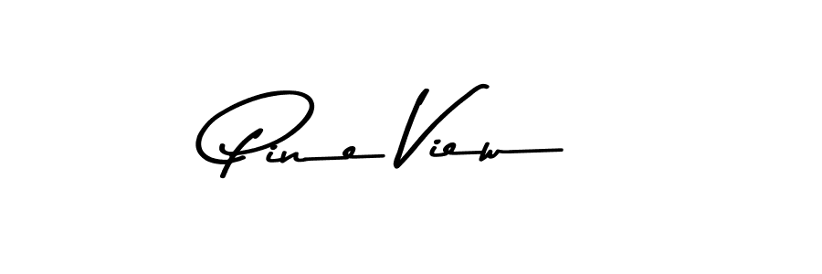 This is the best signature style for the Pine View name. Also you like these signature font (Asem Kandis PERSONAL USE). Mix name signature. Pine View signature style 9 images and pictures png