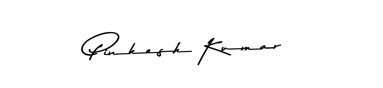 Also we have Pinkesh Kumar name is the best signature style. Create professional handwritten signature collection using Asem Kandis PERSONAL USE autograph style. Pinkesh Kumar signature style 9 images and pictures png