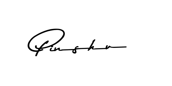 Also You can easily find your signature by using the search form. We will create Pinshu name handwritten signature images for you free of cost using Asem Kandis PERSONAL USE sign style. Pinshu signature style 9 images and pictures png
