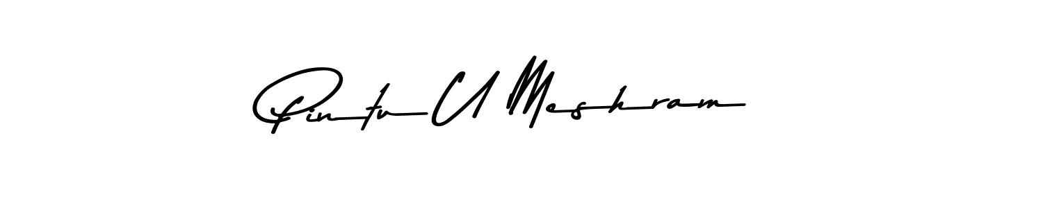 You should practise on your own different ways (Asem Kandis PERSONAL USE) to write your name (Pintu U Meshram) in signature. don't let someone else do it for you. Pintu U Meshram signature style 9 images and pictures png