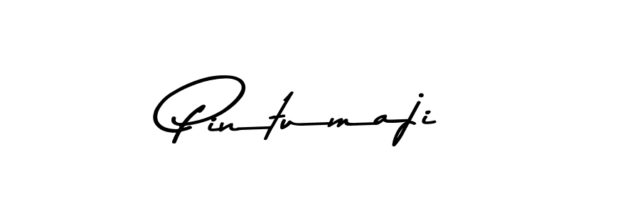 Here are the top 10 professional signature styles for the name Pintumaji. These are the best autograph styles you can use for your name. Pintumaji signature style 9 images and pictures png