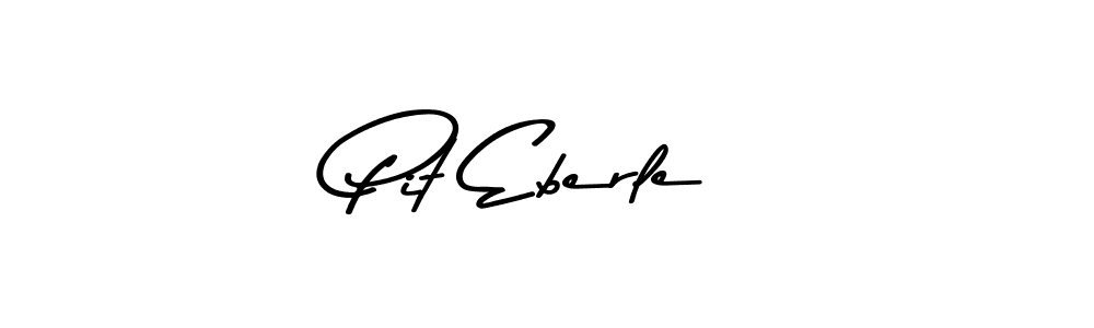 Here are the top 10 professional signature styles for the name Pit Eberle. These are the best autograph styles you can use for your name. Pit Eberle signature style 9 images and pictures png