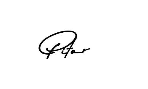 You should practise on your own different ways (Asem Kandis PERSONAL USE) to write your name (Pitor) in signature. don't let someone else do it for you. Pitor signature style 9 images and pictures png