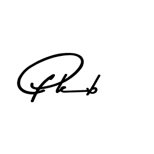 Make a beautiful signature design for name Pkb. Use this online signature maker to create a handwritten signature for free. Pkb signature style 9 images and pictures png