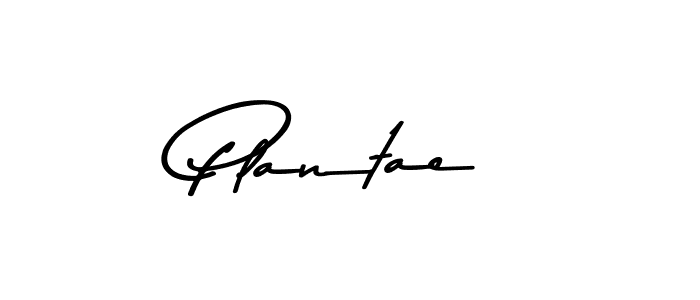 How to make Plantae name signature. Use Asem Kandis PERSONAL USE style for creating short signs online. This is the latest handwritten sign. Plantae signature style 9 images and pictures png
