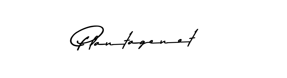 Use a signature maker to create a handwritten signature online. With this signature software, you can design (Asem Kandis PERSONAL USE) your own signature for name Plantagenet. Plantagenet signature style 9 images and pictures png