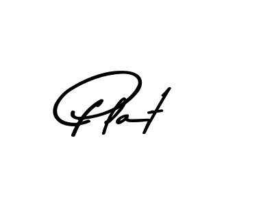 You should practise on your own different ways (Asem Kandis PERSONAL USE) to write your name (Plat) in signature. don't let someone else do it for you. Plat signature style 9 images and pictures png