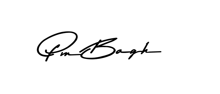 The best way (Asem Kandis PERSONAL USE) to make a short signature is to pick only two or three words in your name. The name Pm Bagh include a total of six letters. For converting this name. Pm Bagh signature style 9 images and pictures png