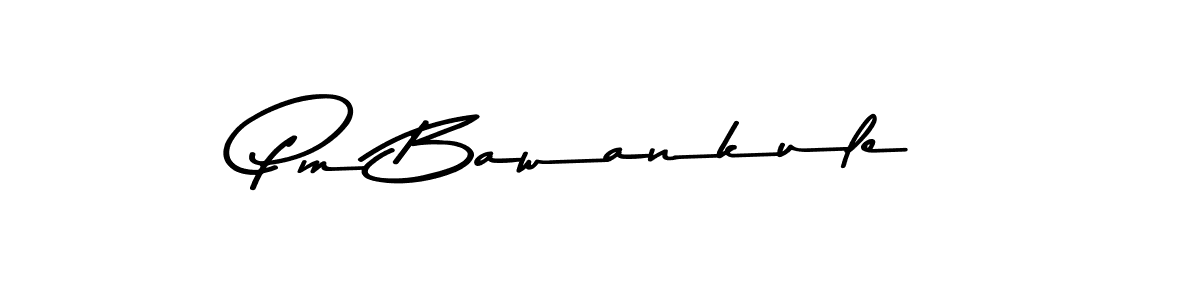 Make a beautiful signature design for name Pm Bawankule. Use this online signature maker to create a handwritten signature for free. Pm Bawankule signature style 9 images and pictures png