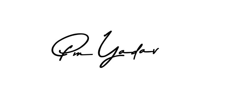 Make a beautiful signature design for name Pm Yadav. Use this online signature maker to create a handwritten signature for free. Pm Yadav signature style 9 images and pictures png