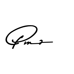 Make a beautiful signature design for name Pmz. Use this online signature maker to create a handwritten signature for free. Pmz signature style 9 images and pictures png