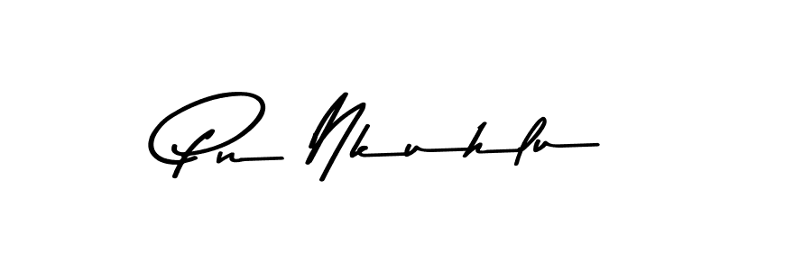 You should practise on your own different ways (Asem Kandis PERSONAL USE) to write your name (Pn Nkuhlu) in signature. don't let someone else do it for you. Pn Nkuhlu signature style 9 images and pictures png