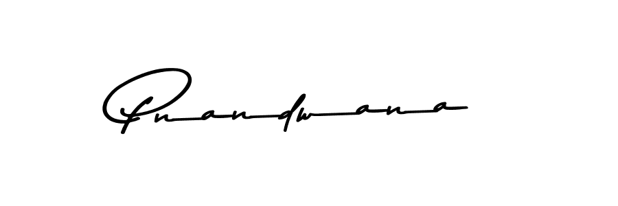Use a signature maker to create a handwritten signature online. With this signature software, you can design (Asem Kandis PERSONAL USE) your own signature for name Pnandwana. Pnandwana signature style 9 images and pictures png