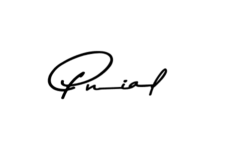 Similarly Asem Kandis PERSONAL USE is the best handwritten signature design. Signature creator online .You can use it as an online autograph creator for name Pnial. Pnial signature style 9 images and pictures png