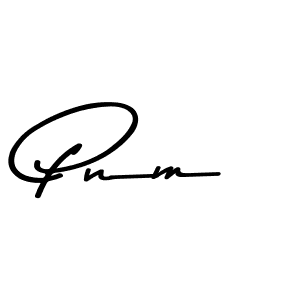 Check out images of Autograph of Pnm name. Actor Pnm Signature Style. Asem Kandis PERSONAL USE is a professional sign style online. Pnm signature style 9 images and pictures png