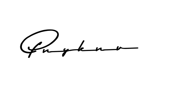 if you are searching for the best signature style for your name Pnyknu. so please give up your signature search. here we have designed multiple signature styles  using Asem Kandis PERSONAL USE. Pnyknu signature style 9 images and pictures png