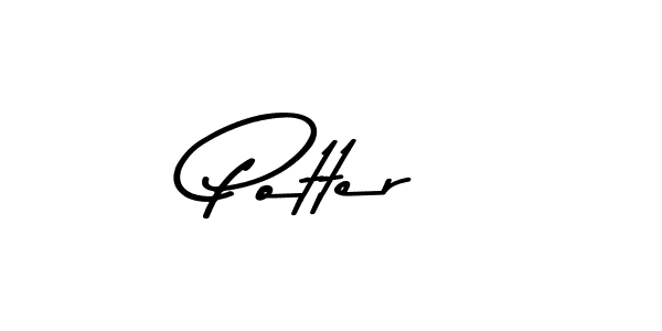You can use this online signature creator to create a handwritten signature for the name Potter. This is the best online autograph maker. Potter signature style 9 images and pictures png