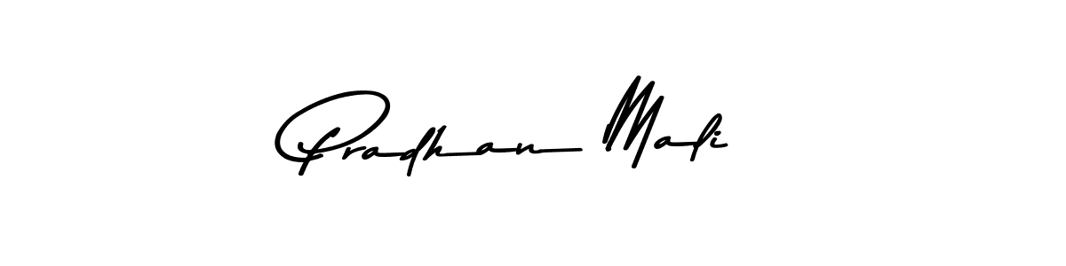 Here are the top 10 professional signature styles for the name Pradhan Mali. These are the best autograph styles you can use for your name. Pradhan Mali signature style 9 images and pictures png