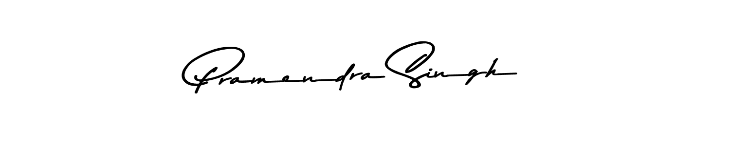 Similarly Asem Kandis PERSONAL USE is the best handwritten signature design. Signature creator online .You can use it as an online autograph creator for name Pramendra Singh. Pramendra Singh signature style 9 images and pictures png