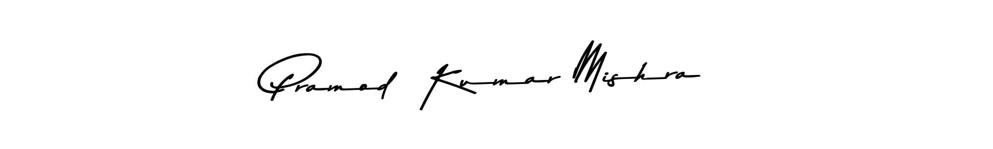 You should practise on your own different ways (Asem Kandis PERSONAL USE) to write your name (Pramod  Kumar Mishra) in signature. don't let someone else do it for you. Pramod  Kumar Mishra signature style 9 images and pictures png