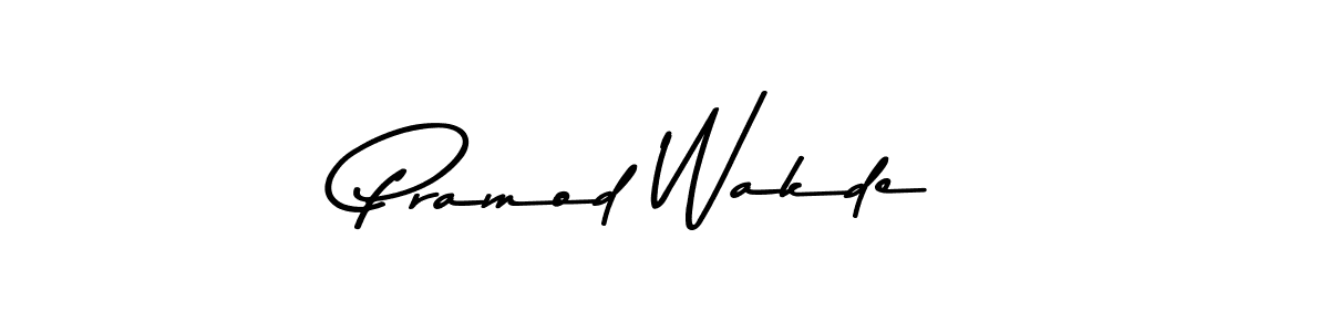 Pramod Wakde stylish signature style. Best Handwritten Sign (Asem Kandis PERSONAL USE) for my name. Handwritten Signature Collection Ideas for my name Pramod Wakde. Pramod Wakde signature style 9 images and pictures png