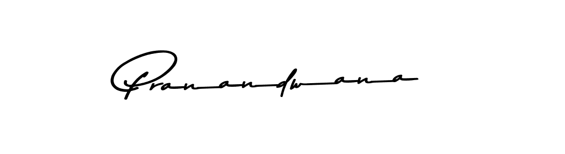 You should practise on your own different ways (Asem Kandis PERSONAL USE) to write your name (Pranandwana) in signature. don't let someone else do it for you. Pranandwana signature style 9 images and pictures png