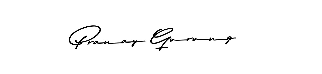 Asem Kandis PERSONAL USE is a professional signature style that is perfect for those who want to add a touch of class to their signature. It is also a great choice for those who want to make their signature more unique. Get Pranay Gurung name to fancy signature for free. Pranay Gurung signature style 9 images and pictures png