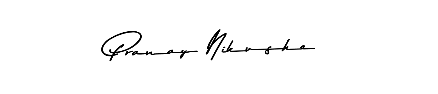 You should practise on your own different ways (Asem Kandis PERSONAL USE) to write your name (Pranay Nikushe) in signature. don't let someone else do it for you. Pranay Nikushe signature style 9 images and pictures png