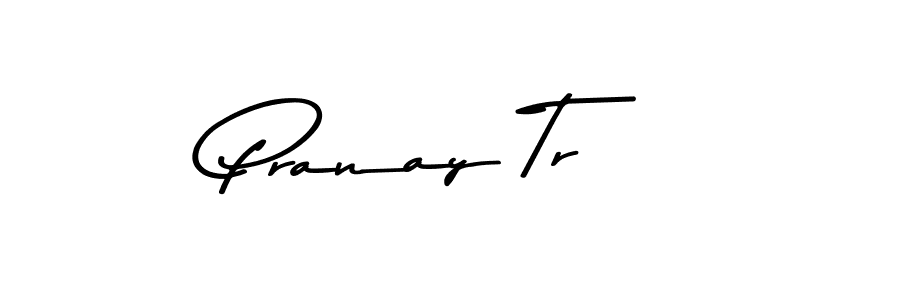 The best way (Asem Kandis PERSONAL USE) to make a short signature is to pick only two or three words in your name. The name Pranay Tr include a total of six letters. For converting this name. Pranay Tr signature style 9 images and pictures png