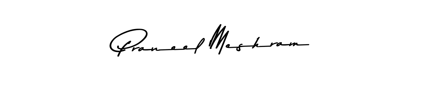 You can use this online signature creator to create a handwritten signature for the name Praneel Meshram. This is the best online autograph maker. Praneel Meshram signature style 9 images and pictures png